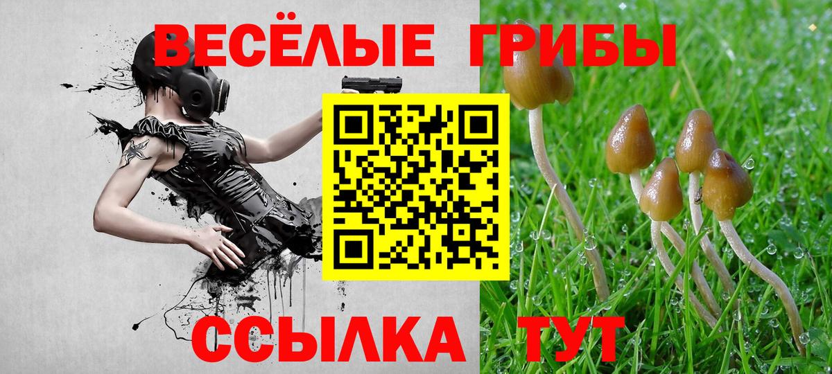 ГАШ Советская Гавань