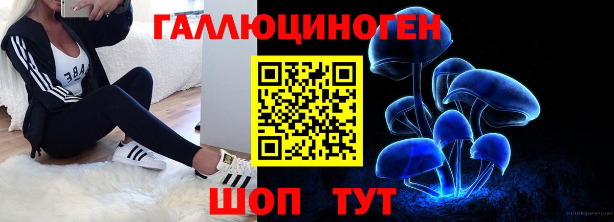Галлюциногенные грибы мухоморы  Вход с VPN  Галлюциногенные грибы Psilocybe  цена наркотик  Советская Гавань 