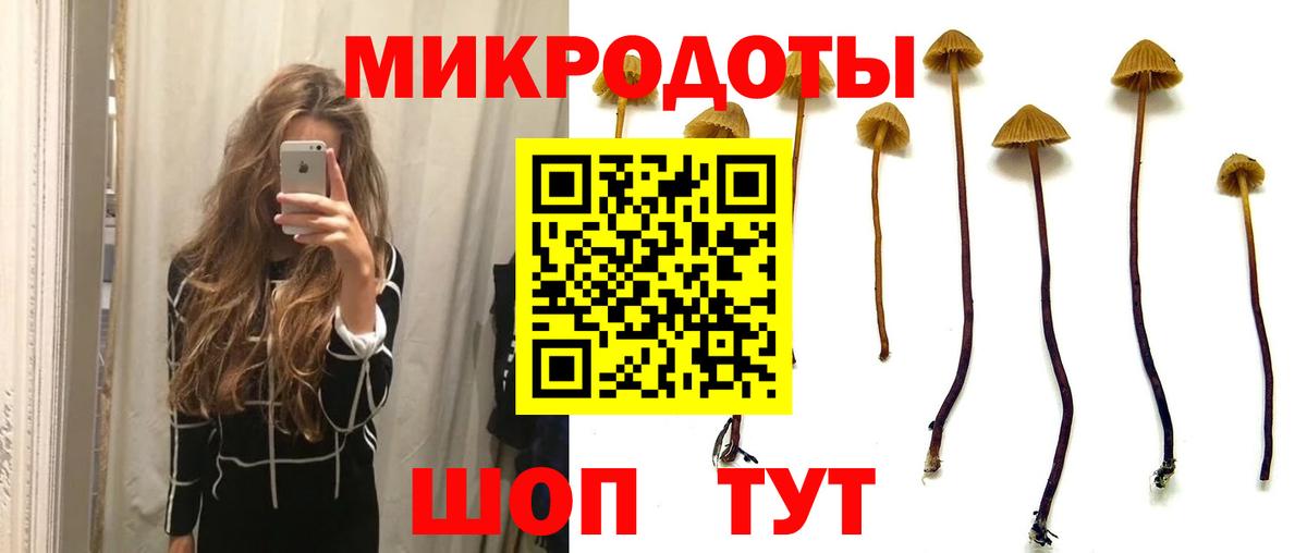 Галлюциногенные грибы мицелий Советская Гавань